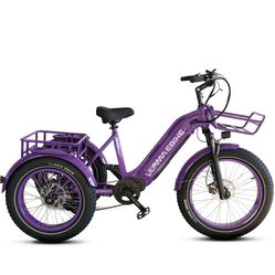 LLAMA EBIKE Cyber Trik-CT10 E- Trike