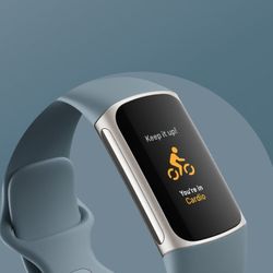 Fitbit Charge 5 Health and Activity Tracker