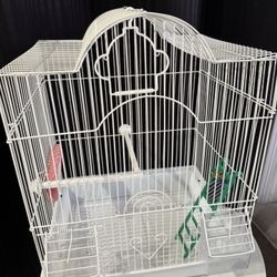 Bird Cage 