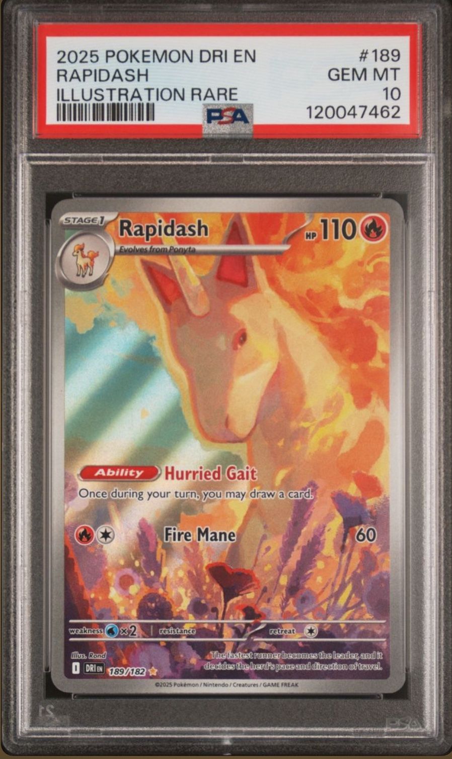 2025 POKEMON DRI EN DESTINED RIVALS ILLUSTRATION RARE #189 RAPIDASH PSA 10