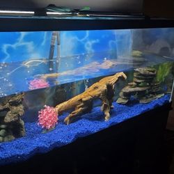 125 Gallon Aquarium & Stand For Sale
