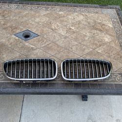 2013-2016 BMW 5 Series Original OEM Kidney Grilles