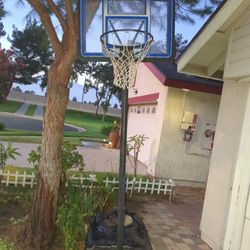 Basket Ball Hoop