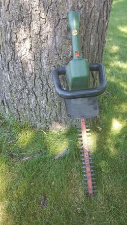 Bushes saw