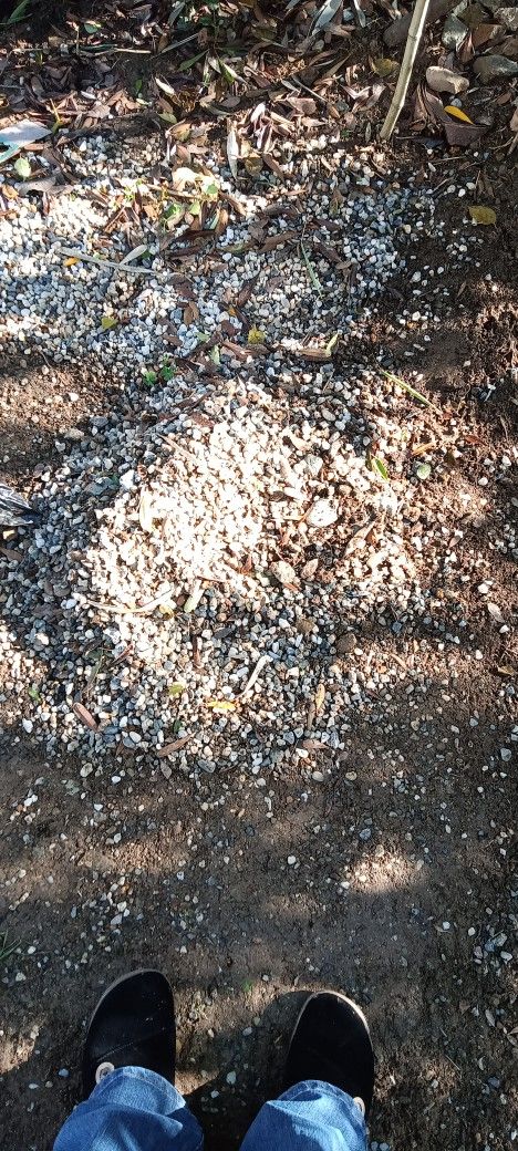 Decorative Gravel.