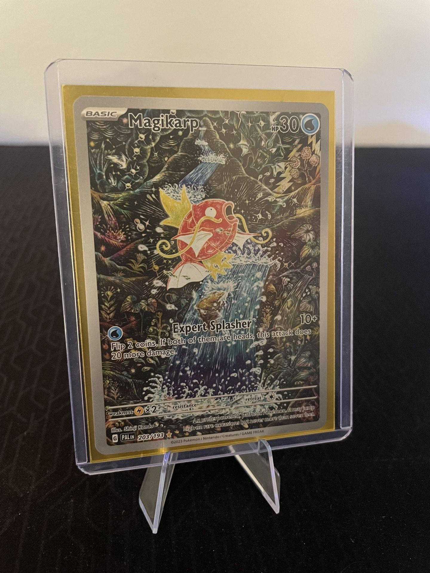 MagiKarp IR !!