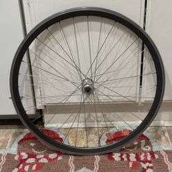 650c Velocity Deep V Rim - 32 Hole - Made in Australia -Campagnolo Hub