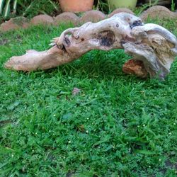 Genuine Driftwood For Aquariums Terrariums Decor 