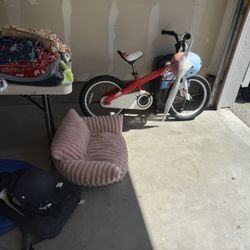 Bikes, Dog Clothes And Decorations 