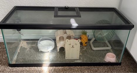 Hamster Cage