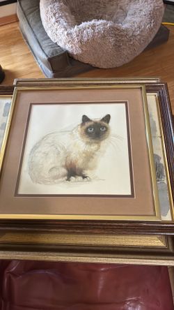 Framed picture 10