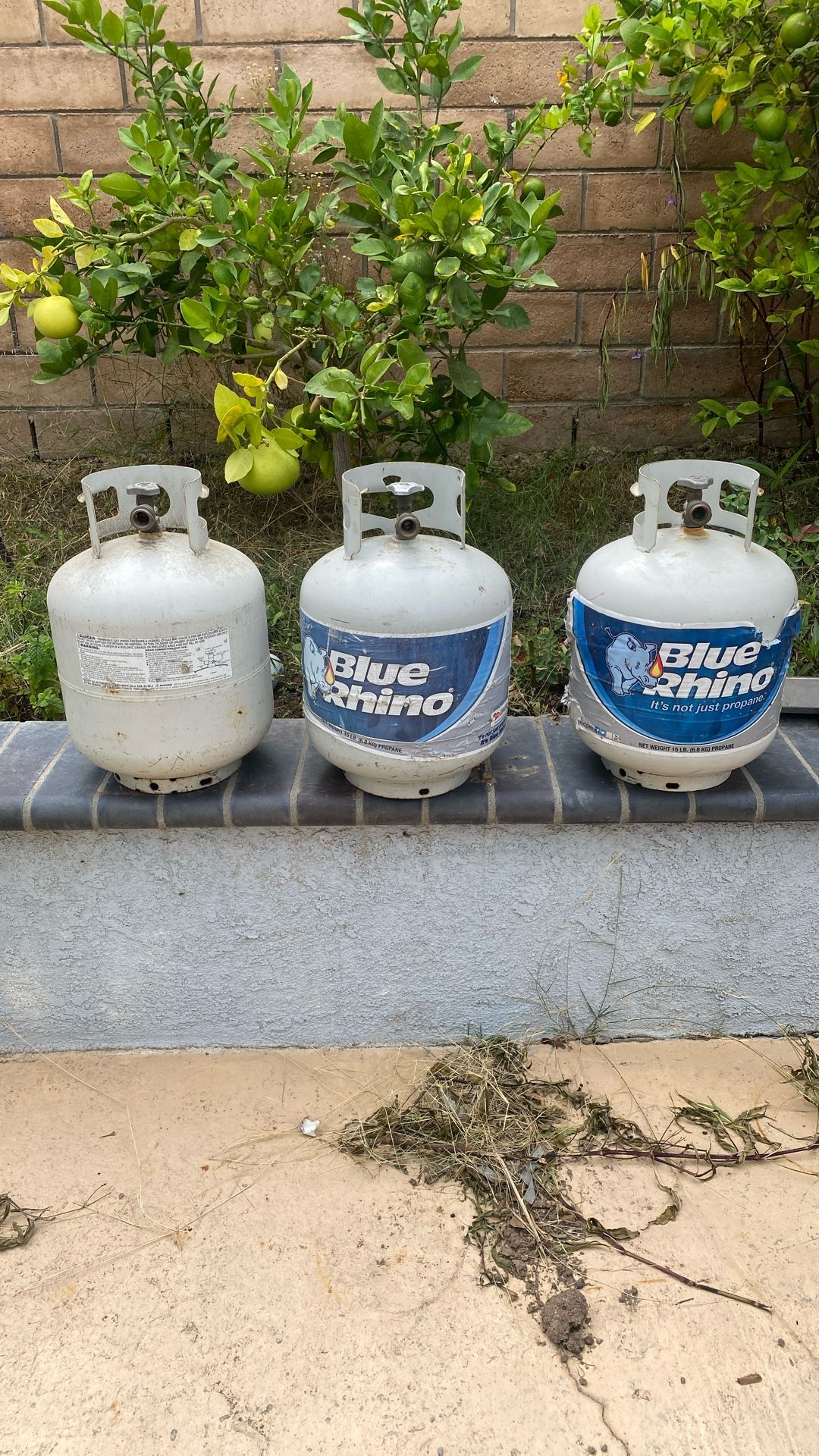 Propane Tank15$