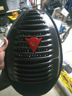 Back protector insert