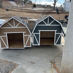 Dog Houses