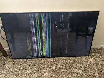 55" TV Visio Needs Work