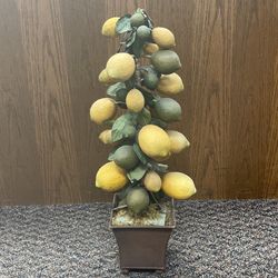Synthetic house plant 21 1/2” tall. For home or office use.