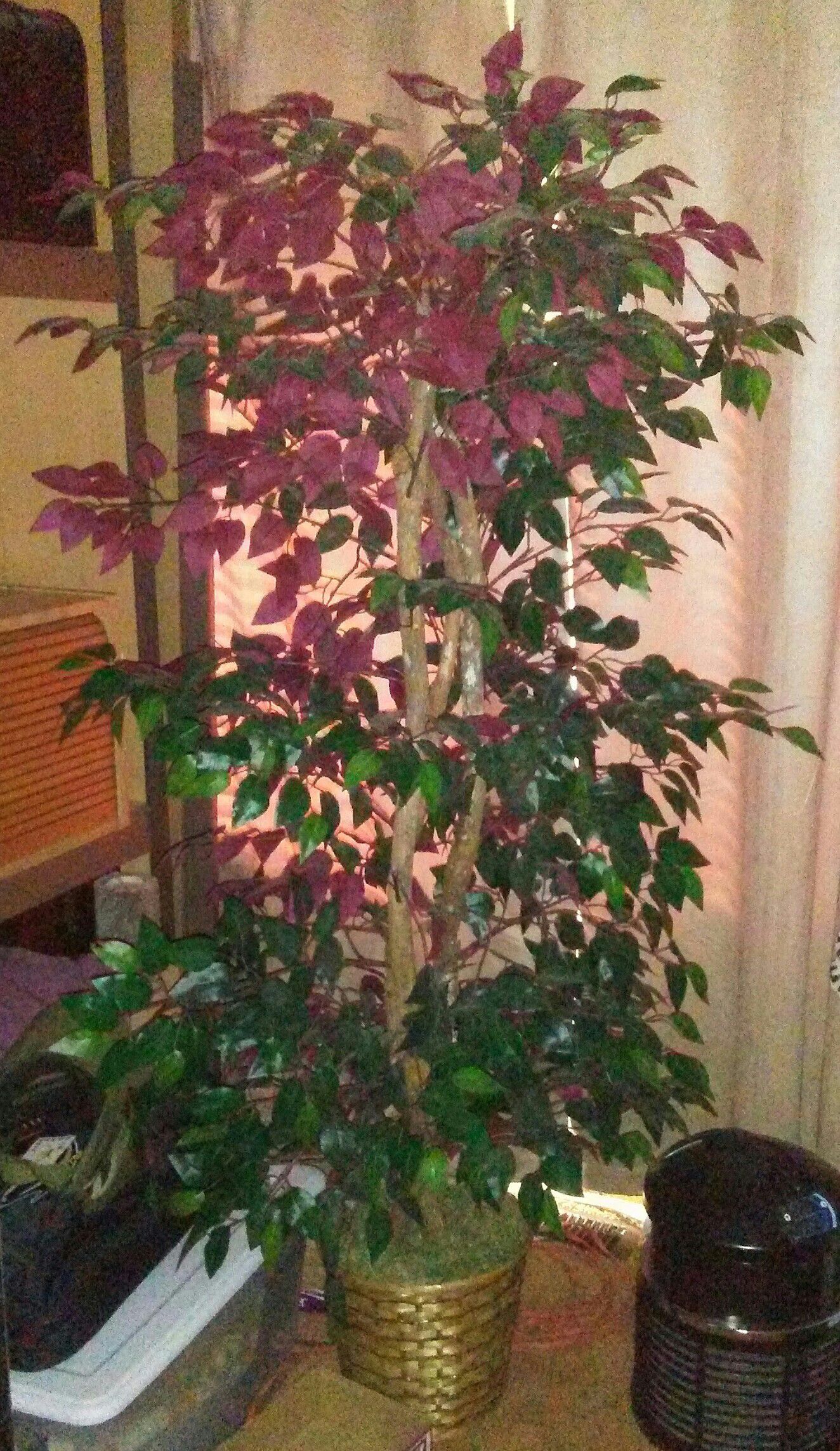 Very Nice Pretty Colored Leaves - Artificial Plant!!!