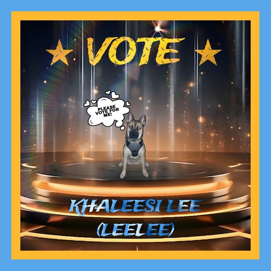 VOTE KHALEESI LEE (LEELEE) FOR AMERICA'S FAVORITE PET AND TO BE FEATURED ON MODERN DOG MAGAZINE