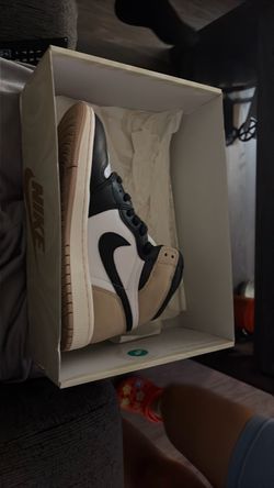 Air Jordan 1 retro high