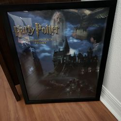 Harry Potter 2001 Limited Edition Holographic (3D) Framed Movie Poster 