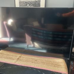 80inch Toast Screen 450$