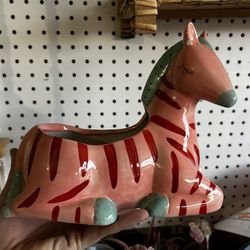 Zebra Plant Pot 