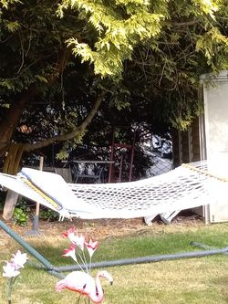 Hamrick  With New Pillow