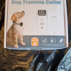 Dog Training Collar