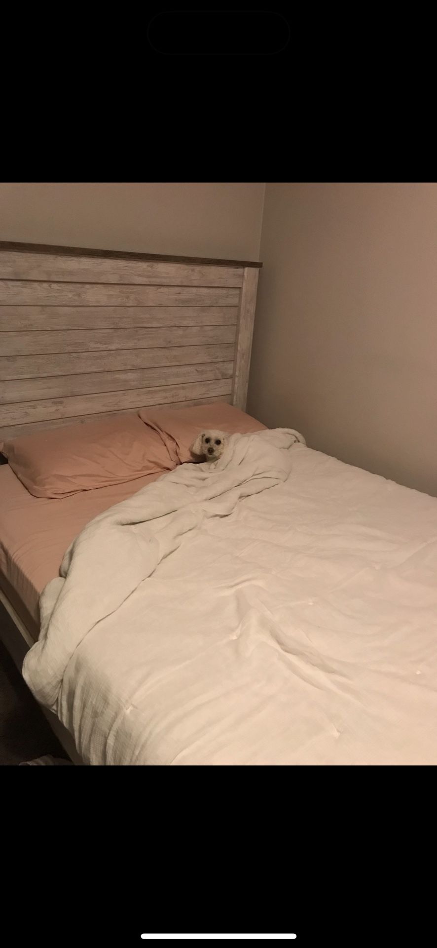 Queen Bed Frame And Box 