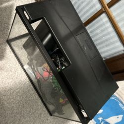 5 Gallon Fish Tank + Everything else you'll need