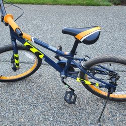 20 Inch Bike - Raleigh Mxr