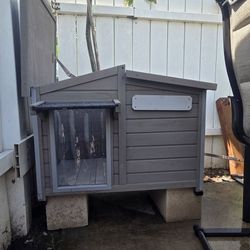 Dog House