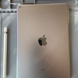 iPad with Apple Pencil and Screen Protector