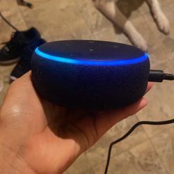 Alexa (Amazon Echo Dot 3rd Gen)