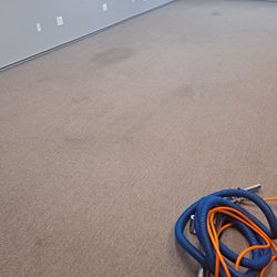 Carpet Cleaner 