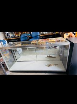 Extra Vision Showcase Chrome Display Case / Vitrina