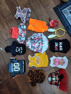 Dog clothes