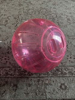 Large Guinea Pig Exercise Ball
