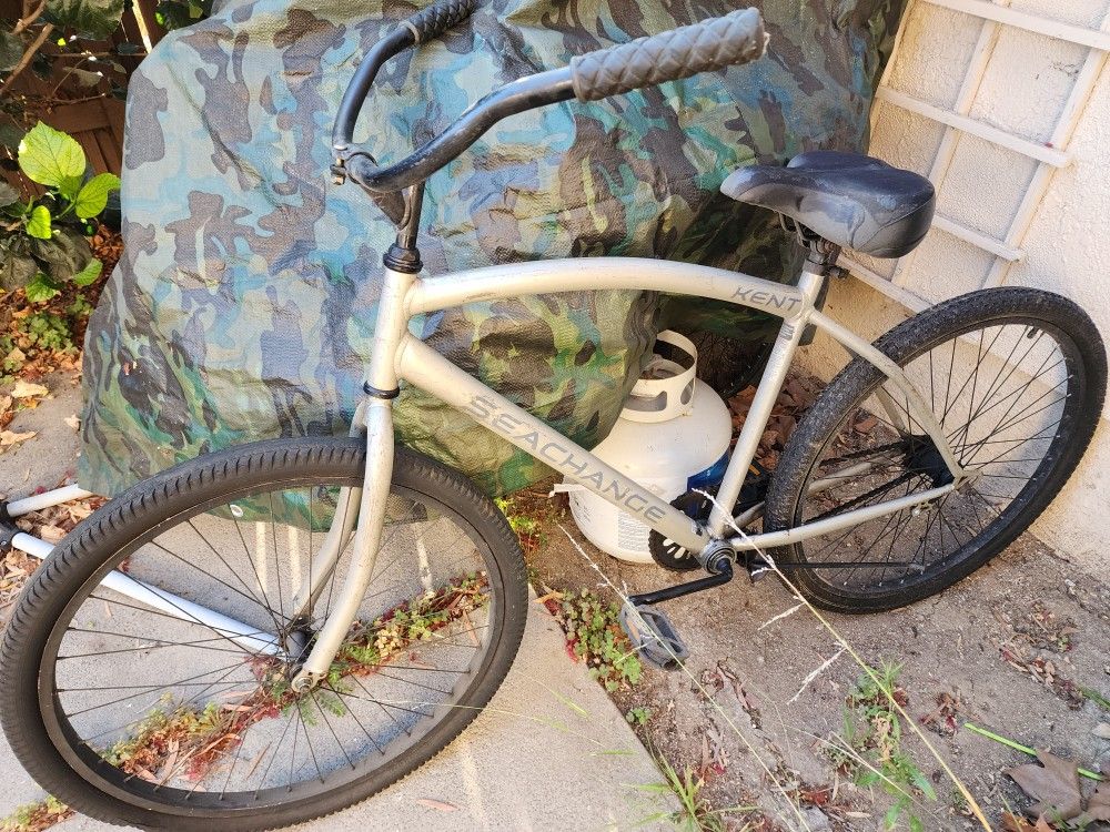 Beach Cruiser