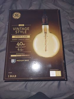 Large Globe Vintage Style Light Bulb