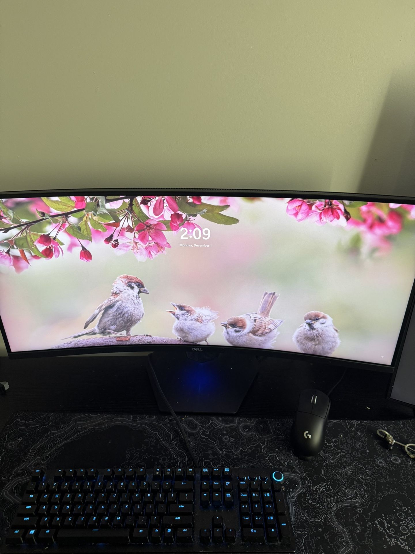 Dell S3422DWG 34” Curved monitor 144 Hz