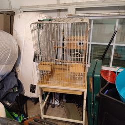 Bird Cage 