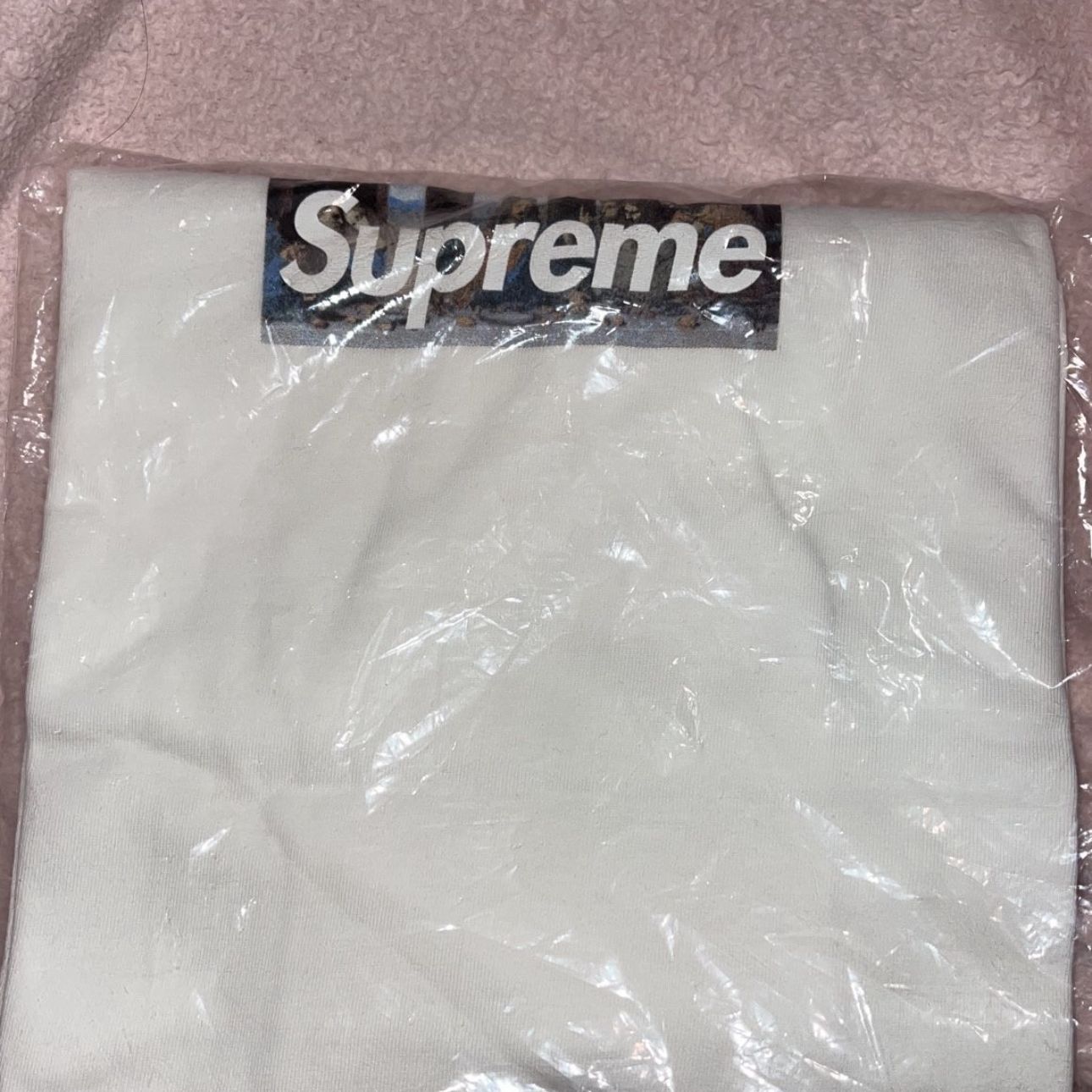 Supreme x Milan last supper Box logo (XL)