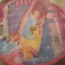 Disney Sleeping Bag