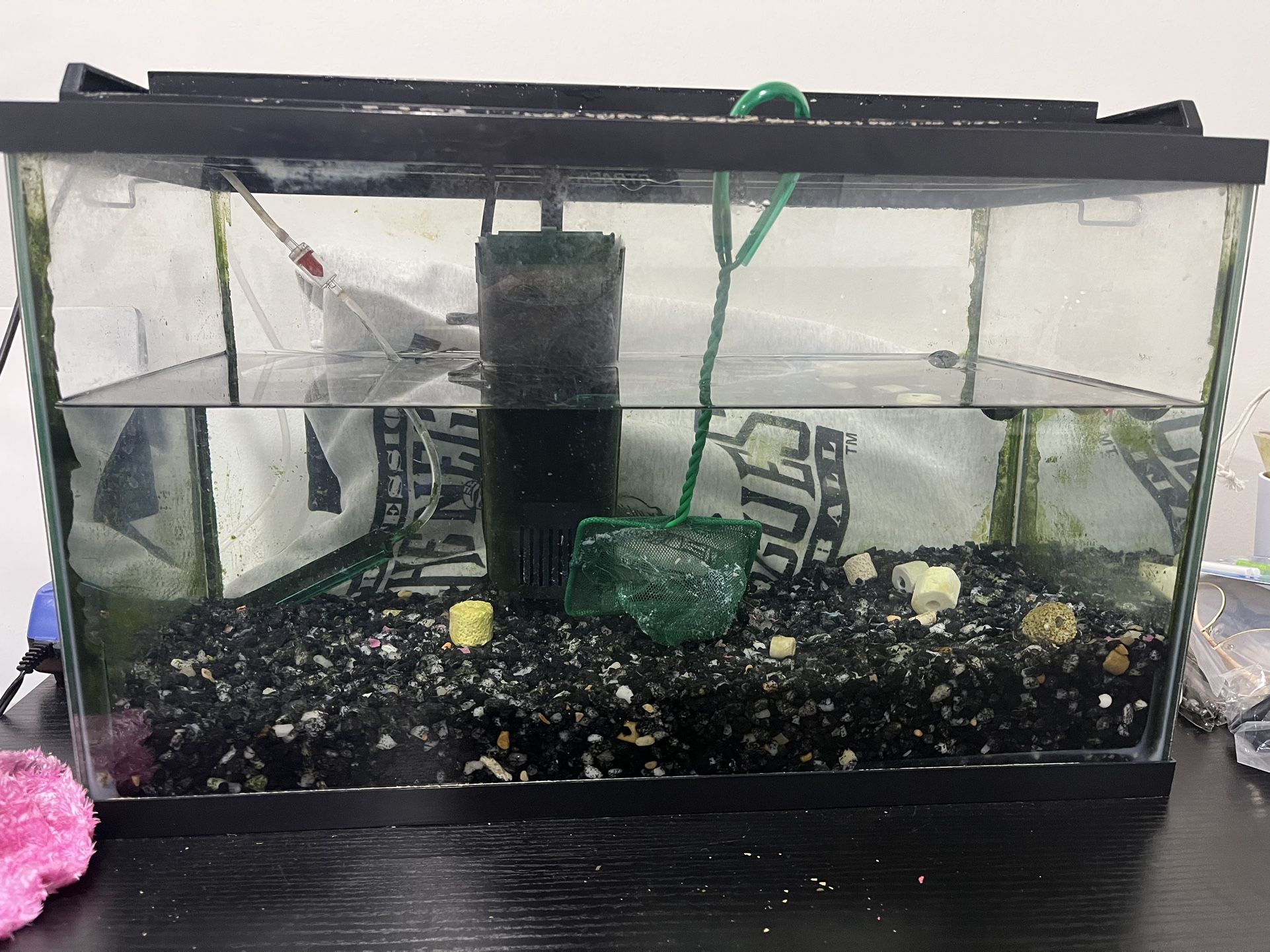 10 Fish Tank