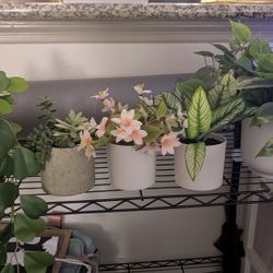 5 Target Artificial Plants