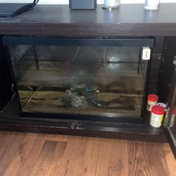 Fish tank / Aquarium 