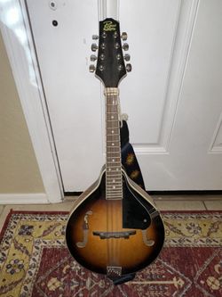 Rogue Branded Mandolin