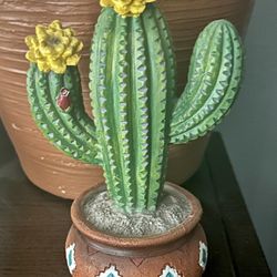 Cactus 🌵 W/ Flowers 