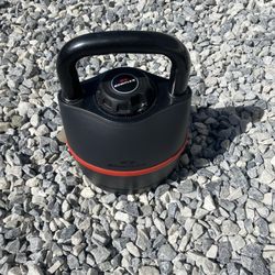 Bowflex Kettle Bell